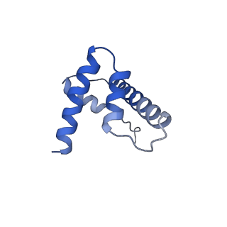 26855_7ux9_D_v1-2
Arabidopsis DDM1 bound to nucleosome (H2A.W, H2B, H3.3, H4, with 147 bp DNA)