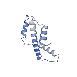 26855_7ux9_E_v1-2
Arabidopsis DDM1 bound to nucleosome (H2A.W, H2B, H3.3, H4, with 147 bp DNA)