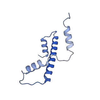 26855_7ux9_F_v1-2
Arabidopsis DDM1 bound to nucleosome (H2A.W, H2B, H3.3, H4, with 147 bp DNA)
