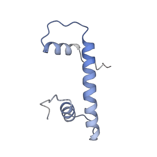 26855_7ux9_G_v1-2
Arabidopsis DDM1 bound to nucleosome (H2A.W, H2B, H3.3, H4, with 147 bp DNA)