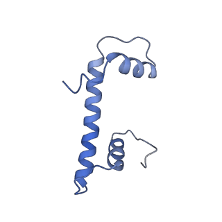 26855_7ux9_H_v1-2
Arabidopsis DDM1 bound to nucleosome (H2A.W, H2B, H3.3, H4, with 147 bp DNA)