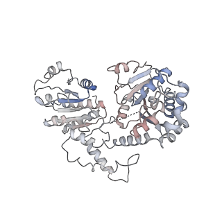 26855_7ux9_P_v1-2
Arabidopsis DDM1 bound to nucleosome (H2A.W, H2B, H3.3, H4, with 147 bp DNA)