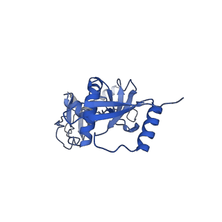 26856_7uxa_A_v1-3
Human tRNA Splicing Endonuclease Complex bound to pre-tRNA-ARG