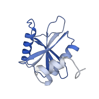 26856_7uxa_B_v1-3
Human tRNA Splicing Endonuclease Complex bound to pre-tRNA-ARG
