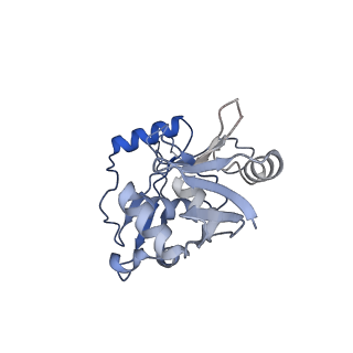 26856_7uxa_C_v1-3
Human tRNA Splicing Endonuclease Complex bound to pre-tRNA-ARG