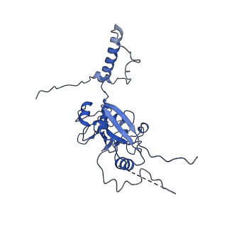 26856_7uxa_D_v1-3
Human tRNA Splicing Endonuclease Complex bound to pre-tRNA-ARG