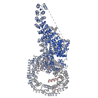 26857_7uxc_A_v1-3
cryo-EM structure of the mTORC1-TFEB-Rag-Ragulator complex with symmetry expansion