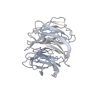 26857_7uxc_B_v1-3
cryo-EM structure of the mTORC1-TFEB-Rag-Ragulator complex with symmetry expansion