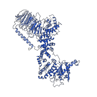 26857_7uxc_C_v1-3
cryo-EM structure of the mTORC1-TFEB-Rag-Ragulator complex with symmetry expansion
