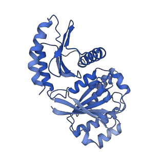 26857_7uxc_D_v1-3
cryo-EM structure of the mTORC1-TFEB-Rag-Ragulator complex with symmetry expansion