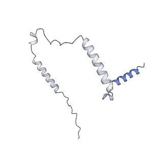 26857_7uxc_F_v1-3
cryo-EM structure of the mTORC1-TFEB-Rag-Ragulator complex with symmetry expansion