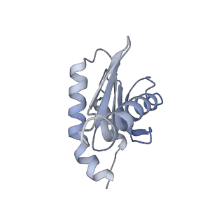 26857_7uxc_G_v1-3
cryo-EM structure of the mTORC1-TFEB-Rag-Ragulator complex with symmetry expansion