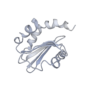 26857_7uxc_H_v1-3
cryo-EM structure of the mTORC1-TFEB-Rag-Ragulator complex with symmetry expansion