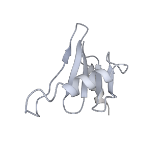 26857_7uxc_J_v1-3
cryo-EM structure of the mTORC1-TFEB-Rag-Ragulator complex with symmetry expansion