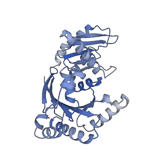 26857_7uxc_K_v1-3
cryo-EM structure of the mTORC1-TFEB-Rag-Ragulator complex with symmetry expansion