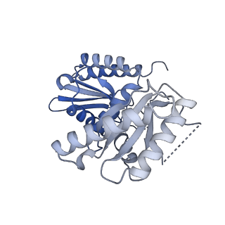 26857_7uxc_L_v1-3
cryo-EM structure of the mTORC1-TFEB-Rag-Ragulator complex with symmetry expansion