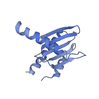 26857_7uxc_N_v1-3
cryo-EM structure of the mTORC1-TFEB-Rag-Ragulator complex with symmetry expansion