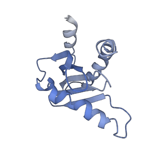 26857_7uxc_O_v1-3
cryo-EM structure of the mTORC1-TFEB-Rag-Ragulator complex with symmetry expansion