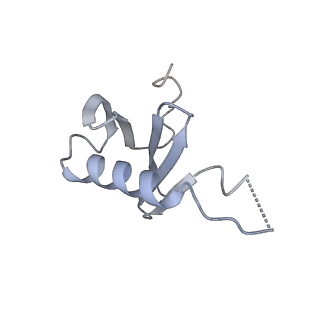 26857_7uxc_P_v1-3
cryo-EM structure of the mTORC1-TFEB-Rag-Ragulator complex with symmetry expansion