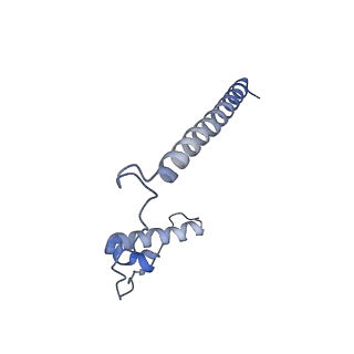 26857_7uxc_R_v1-3
cryo-EM structure of the mTORC1-TFEB-Rag-Ragulator complex with symmetry expansion