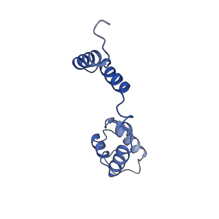 26858_7uxe_A_v1-0
Pseudomonas phage E217 small terminase (TerS)