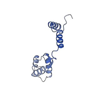 26858_7uxe_B_v1-0
Pseudomonas phage E217 small terminase (TerS)