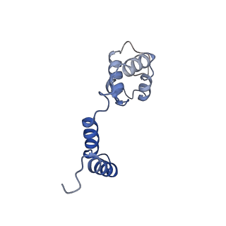 26858_7uxe_G_v1-0
Pseudomonas phage E217 small terminase (TerS)