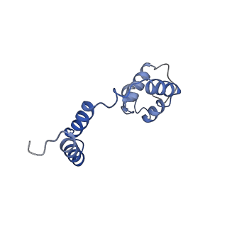 26858_7uxe_H_v1-0
Pseudomonas phage E217 small terminase (TerS)