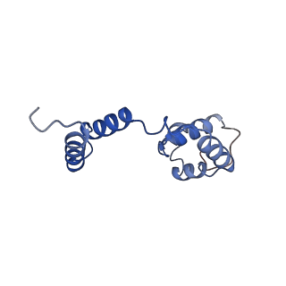 26858_7uxe_I_v1-0
Pseudomonas phage E217 small terminase (TerS)