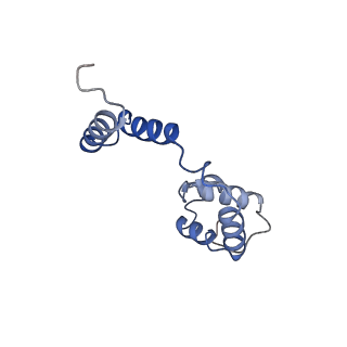 26858_7uxe_J_v1-0
Pseudomonas phage E217 small terminase (TerS)