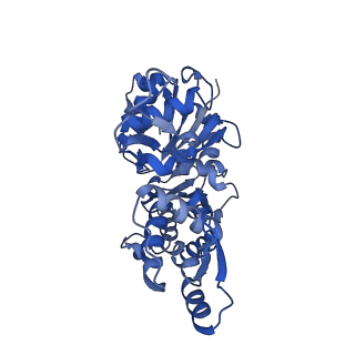 26860_7uxf_A_v1-1
Cryogenic electron microscopy 3D map of F-actin