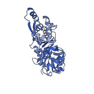26860_7uxf_B_v1-1
Cryogenic electron microscopy 3D map of F-actin