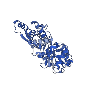 26860_7uxf_D_v1-1
Cryogenic electron microscopy 3D map of F-actin