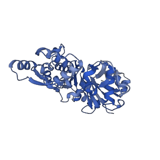 26860_7uxf_F_v1-1
Cryogenic electron microscopy 3D map of F-actin