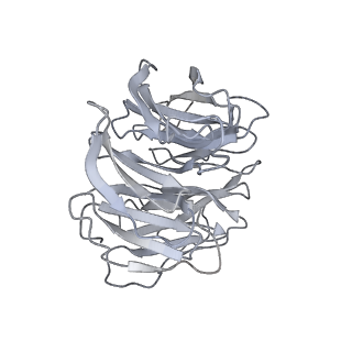 26861_7uxh_B_v1-3
cryo-EM structure of the mTORC1-TFEB-Rag-Ragulator complex