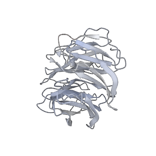 26861_7uxh_D_v1-3
cryo-EM structure of the mTORC1-TFEB-Rag-Ragulator complex