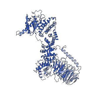 26861_7uxh_E_v1-3
cryo-EM structure of the mTORC1-TFEB-Rag-Ragulator complex