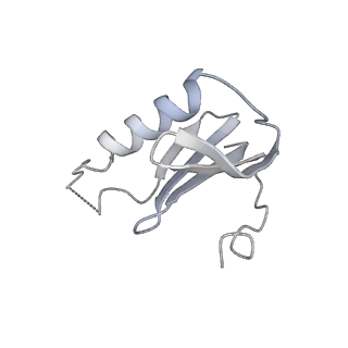 26861_7uxh_K_v1-3
cryo-EM structure of the mTORC1-TFEB-Rag-Ragulator complex