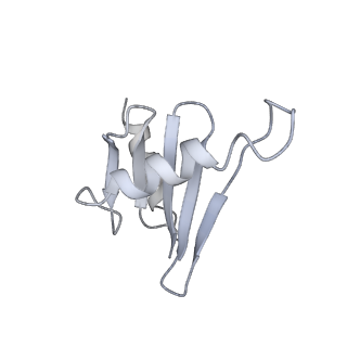 26861_7uxh_L_v1-3
cryo-EM structure of the mTORC1-TFEB-Rag-Ragulator complex