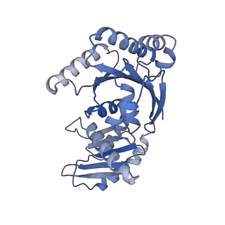 26861_7uxh_M_v1-3
cryo-EM structure of the mTORC1-TFEB-Rag-Ragulator complex