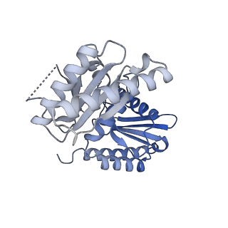 26861_7uxh_N_v1-3
cryo-EM structure of the mTORC1-TFEB-Rag-Ragulator complex