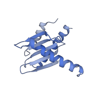 26861_7uxh_P_v1-3
cryo-EM structure of the mTORC1-TFEB-Rag-Ragulator complex