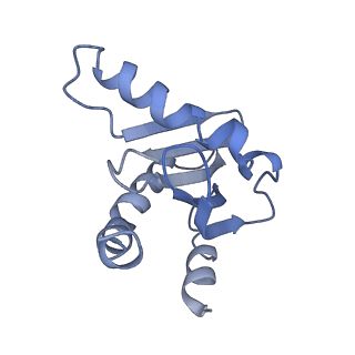 26861_7uxh_Q_v1-3
cryo-EM structure of the mTORC1-TFEB-Rag-Ragulator complex
