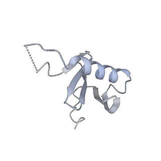 26861_7uxh_R_v1-3
cryo-EM structure of the mTORC1-TFEB-Rag-Ragulator complex