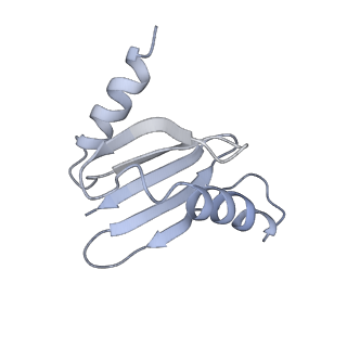 26861_7uxh_S_v1-3
cryo-EM structure of the mTORC1-TFEB-Rag-Ragulator complex