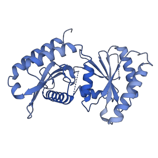 26861_7uxh_W_v1-3
cryo-EM structure of the mTORC1-TFEB-Rag-Ragulator complex