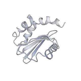 26861_7uxh_Z_v1-3
cryo-EM structure of the mTORC1-TFEB-Rag-Ragulator complex