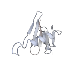 26861_7uxh_b_v1-3
cryo-EM structure of the mTORC1-TFEB-Rag-Ragulator complex