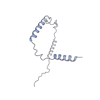 26861_7uxh_e_v1-3
cryo-EM structure of the mTORC1-TFEB-Rag-Ragulator complex