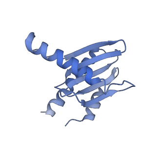 26861_7uxh_f_v1-3
cryo-EM structure of the mTORC1-TFEB-Rag-Ragulator complex